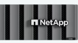 NetApp-flash-hibrido-1