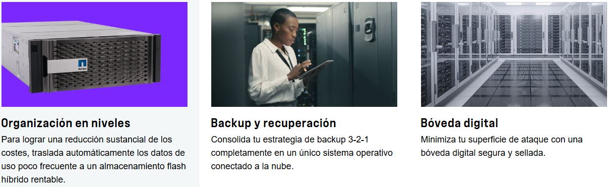 NetApp-modelos-FAS1