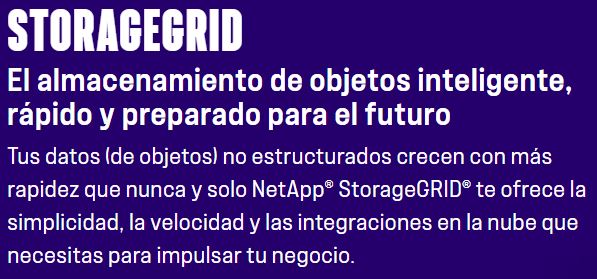 STORAGEGRID-texto